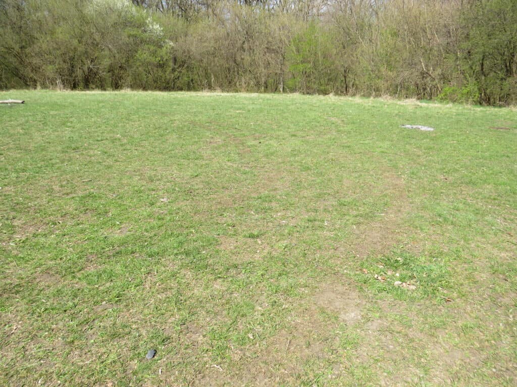 Ein grasbewachsenes Feld mit kahlen Stellen, umgeben von dichten Bäumen und Sträuchern im Hintergrund und unter einem bedeckten Himmel, erinnert an die geheimnisvolle Atmosphäre des Hoia-Baciu-Waldes, der oft als der gespenstischste Wald der Welt bezeichnet wird. | alien-fakten.de