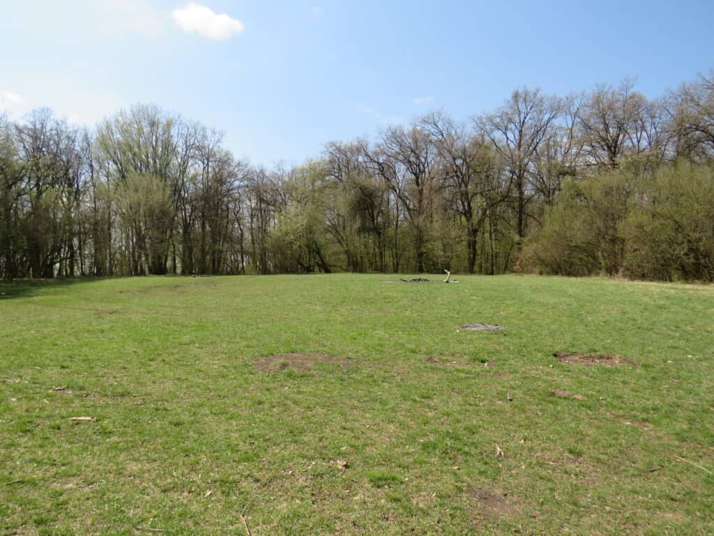 Ein grasbewachsenes Feld mit verstreuten Flecken kahler Erde im Baciu-Wald, gesäumt von hohen, belaubten Bäumen unter einem teilweise bewölkten blauen Himmel. Einige Stöcke und Äste sind auf dem Boden in der Nähe des Zentrums dieses verwunschenen Waldes zu sehen. | alien-fakten.de